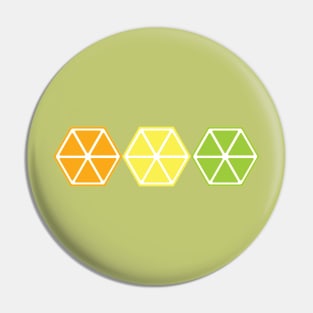 Citrus Hexagon Slices Pin