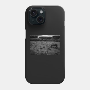 Monochrome Grazing Horse Phone Case