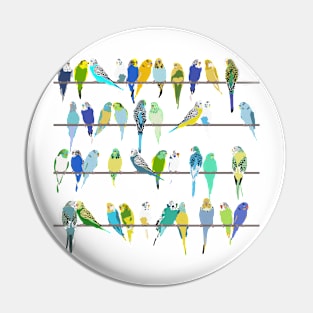 Get your Budgies in a Row Pin