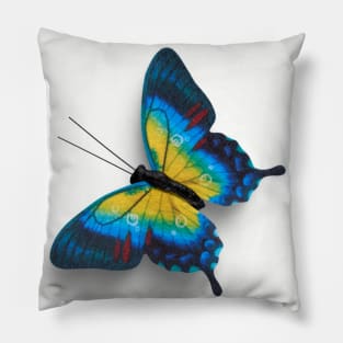 Real Butterfly Blue Yellow Pillow