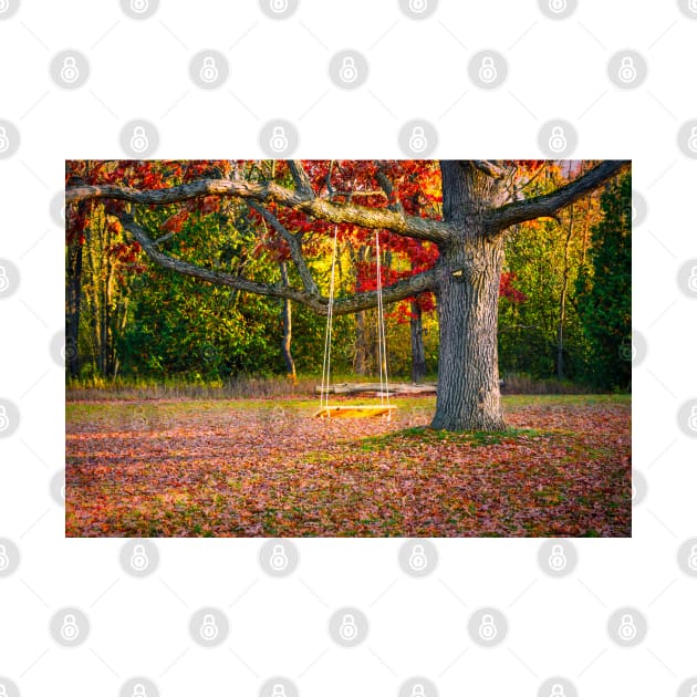 Tree Swing In Autumn 2 by Robert Alsop