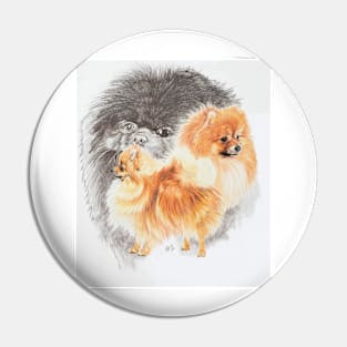 Pomeranian Medley Pin