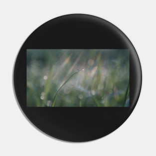 Raindrop on a Blade of Grass Pin