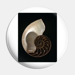 Common nautilus (C022/7617) Pin