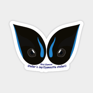 Steller's Jay Eyes Magnet