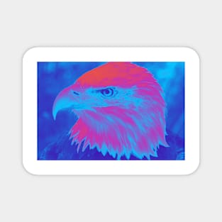 Bald Eagle (Color Pop) Magnet