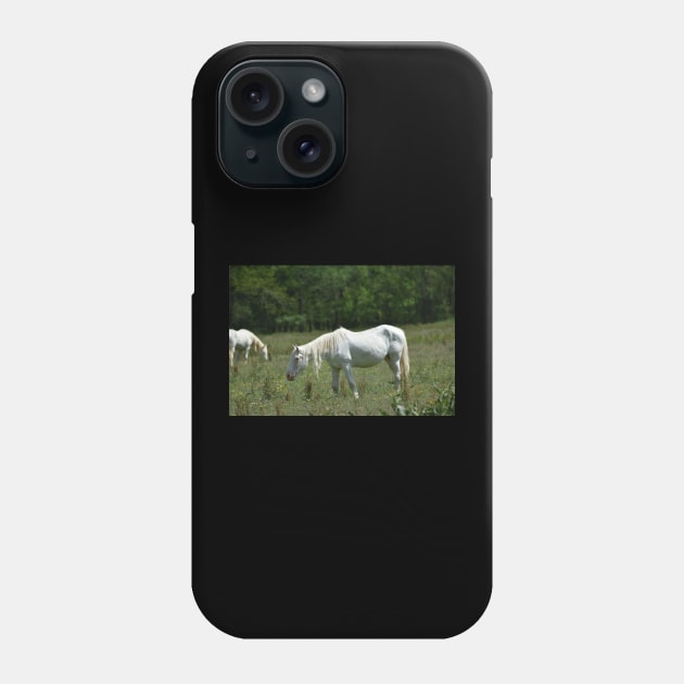 Wild Horse Phone Case by MarieDarcy