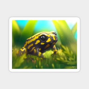 Corroboree Frog Magnet