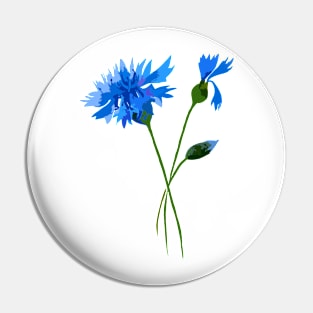 Wildflowers garden Pin