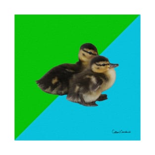 Baby Ducks 1 on Grass Green and Sky Blue T-Shirt