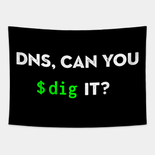 DNS, Can You Dig It? Tapestry