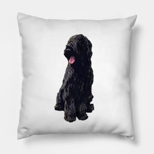 Briard Dog - Black Beauty Pillow