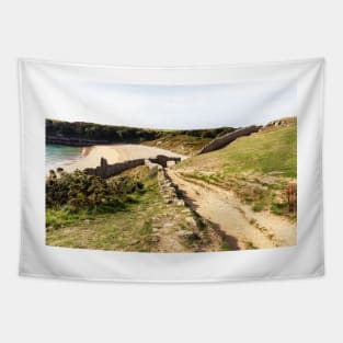 Barafundle Bay And Beach, Pembrokeshire, Wales Tapestry