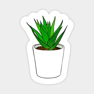 Succulent Plant Magnet