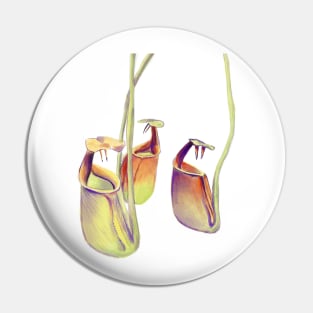 Nepenthes bicalcarata | carnivorous plant | pitcher plant Pin