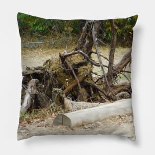 Nefarious nature Pillow