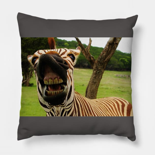 Feed Me! Pillow by BecauseofHorses