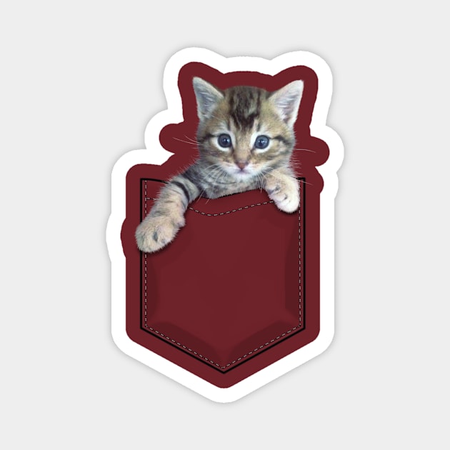 Kitten! Magnet by griffinjustdesigns