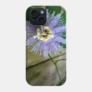 Passion flower in close-up - a photo study in green and purple Phone Case