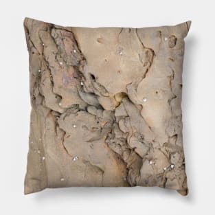 Beach side intimate rock texture Pillow