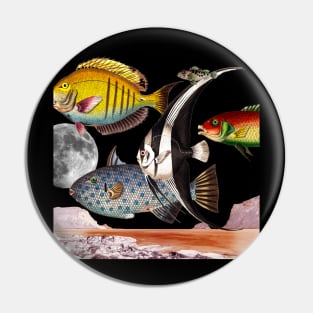 Fish World Collage Pin