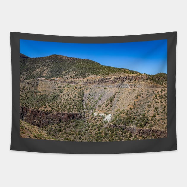 Salt River Canyon Wilderness Tapestry by Gestalt Imagery