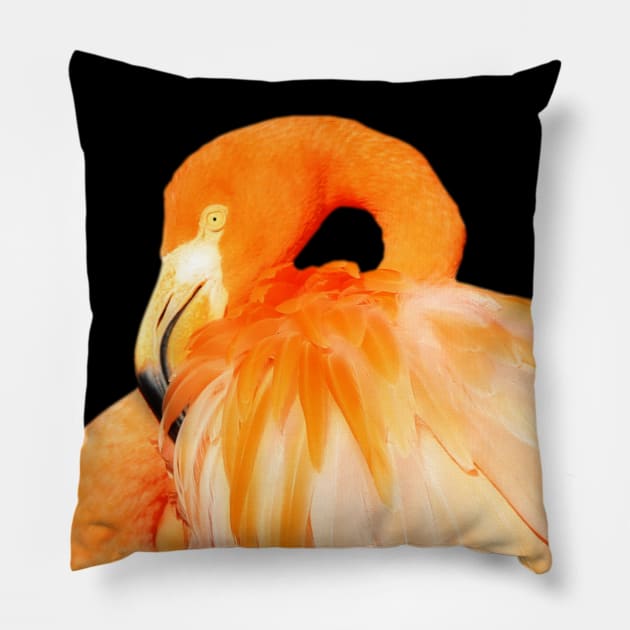 Profile of a Flamingo Sunlit by the Afternoon Summer Sun Pillow by walkswithnature