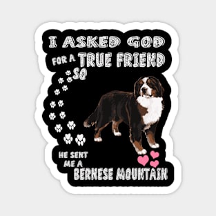 Cattle Dog Berner Sennenhund Bernese Mountain Magnet