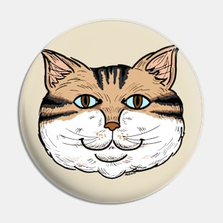 Face Tabby Kitty Cat Animal Pin