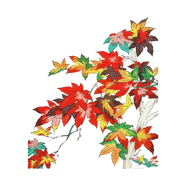 Magnificent Japanese autumn leaves by geekmethat