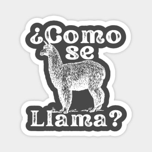 Como Se Llama Funny Vintage Style Spanish Language Magnet