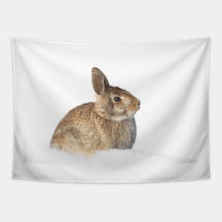 Eastern Cottontail Tapestry