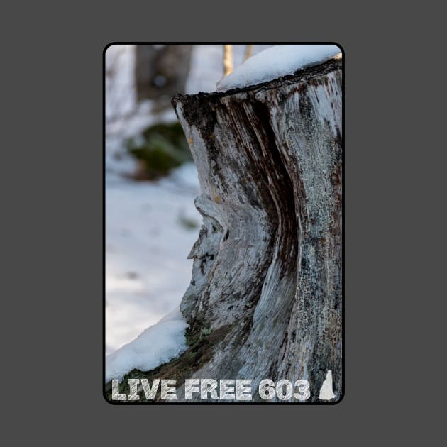 Live Free 603 - Old Man of the Mountain by MagpieMoonUSA