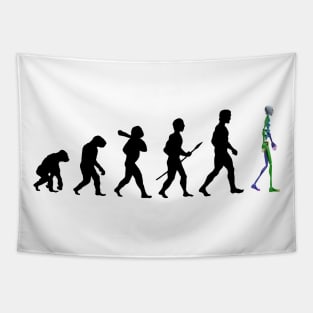 Evolution 3D Tapestry