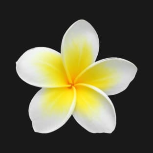 Hawaiian Plumeria T-Shirt