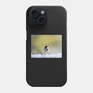 Chickadee in winter Phone Case