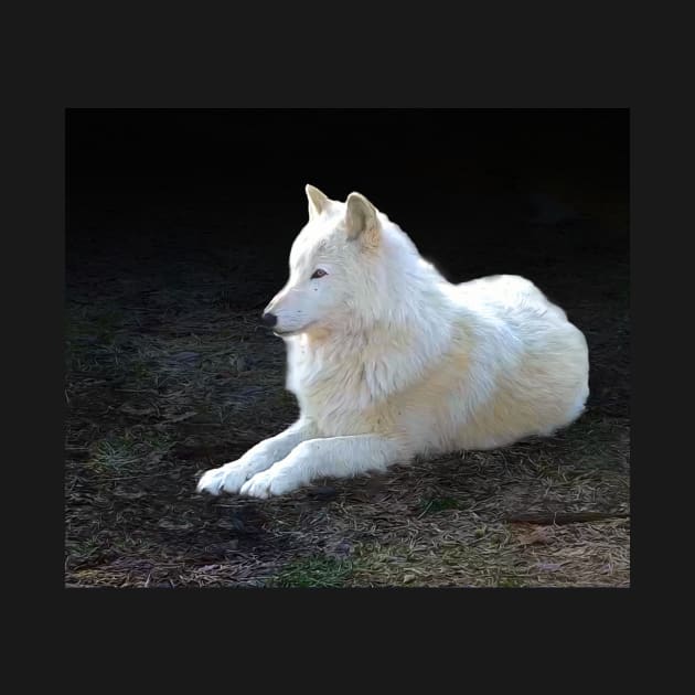 White wolf by Guardi