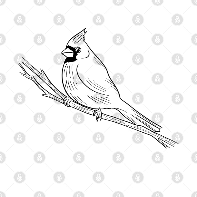 Cardinal On A Branch by Good Graphics 