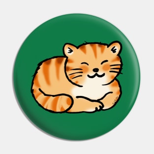 cute orange cat Pin