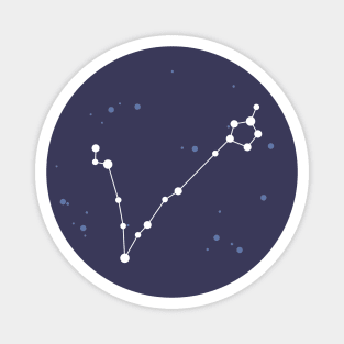 Pisces Constellation Magnet