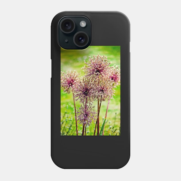 Allium flowers Phone Case by InspiraImage