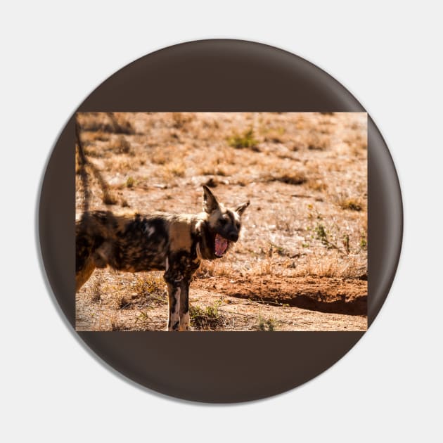 Wild dog Pin by brians101