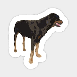 rottweiler Magnet