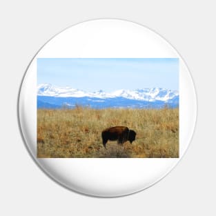 Buffalo and the Rocky Mountains Pin