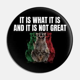 It Is What It Is And It Is Not Great Funny Raccoon Pin