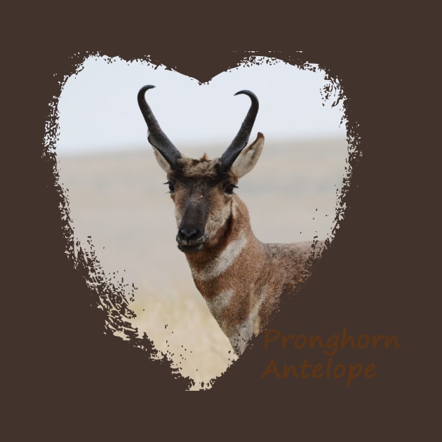 Pronghorn Antelope- Prairie Speedster by Whisperingpeaks