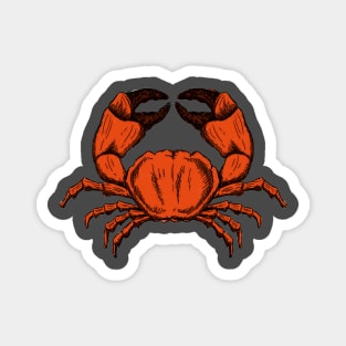 Cute Crab Sea Magnet