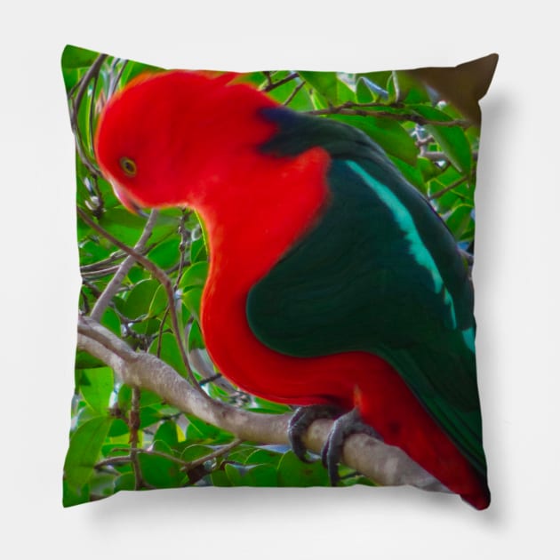 A distorted king parrot! Pillow by Mickangelhere1