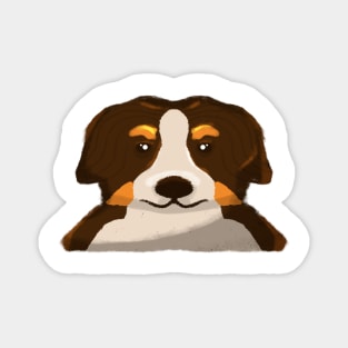 Bornese Mountain Dog Magnet