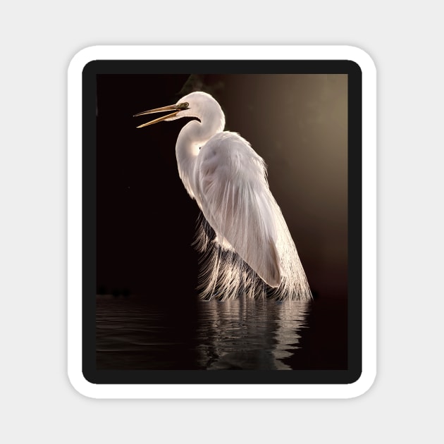 Egret in the shade Magnet by Tarrby